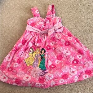 Disney Floral Pink Dress with Princesses